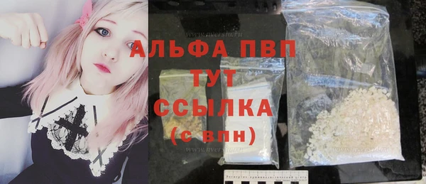 дмт Богданович