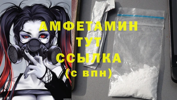 дмт Богданович