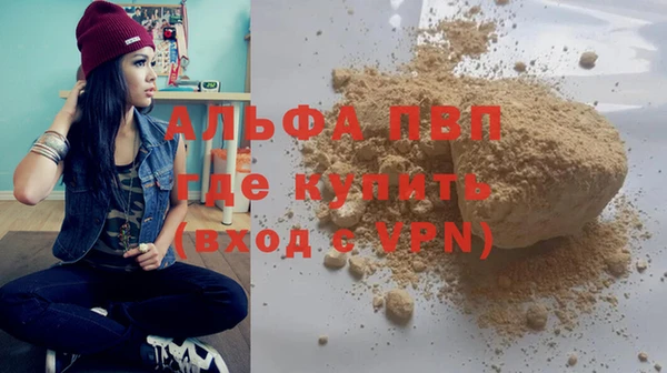 дмт Богданович