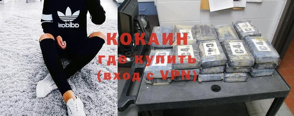 дмт Богданович