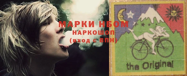 дмт Богданович