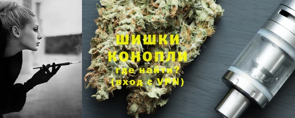 дмт Богданович