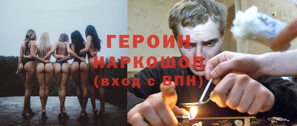 дмт Богданович