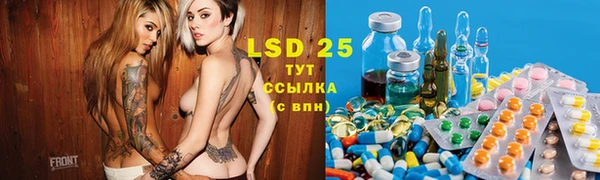 дмт Богданович