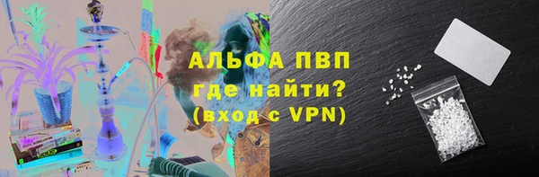 дмт Богданович