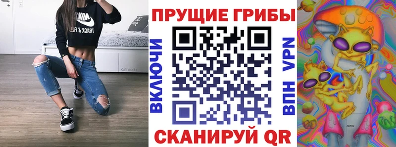 Галлюциногенные грибы ЛСД  как найти наркотики  KRAKEN ссылки  Петрозаводск 